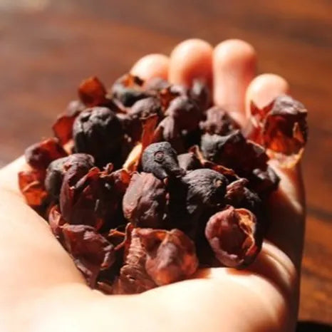 CASCARA KOFFIEBES THEE